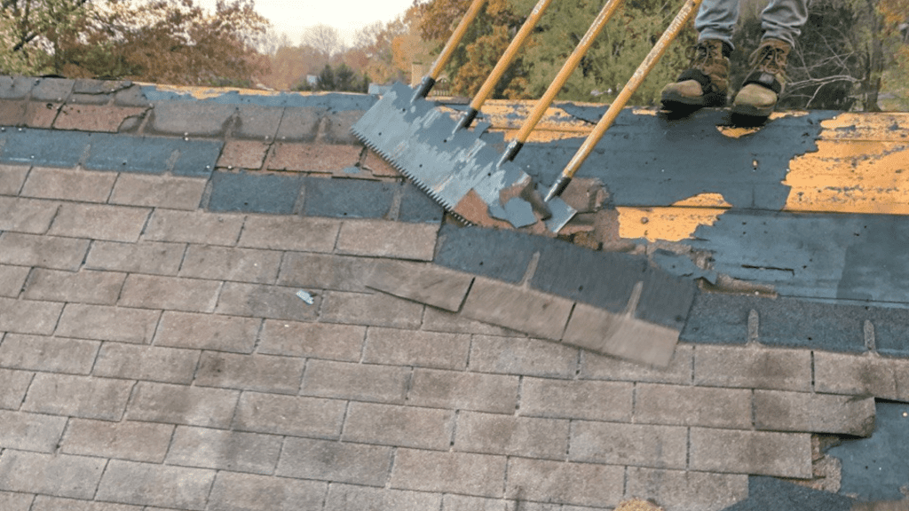 Medina Roof Replacements